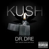 Dr Dre feat. Akon & Snoop Dogg”Kush”