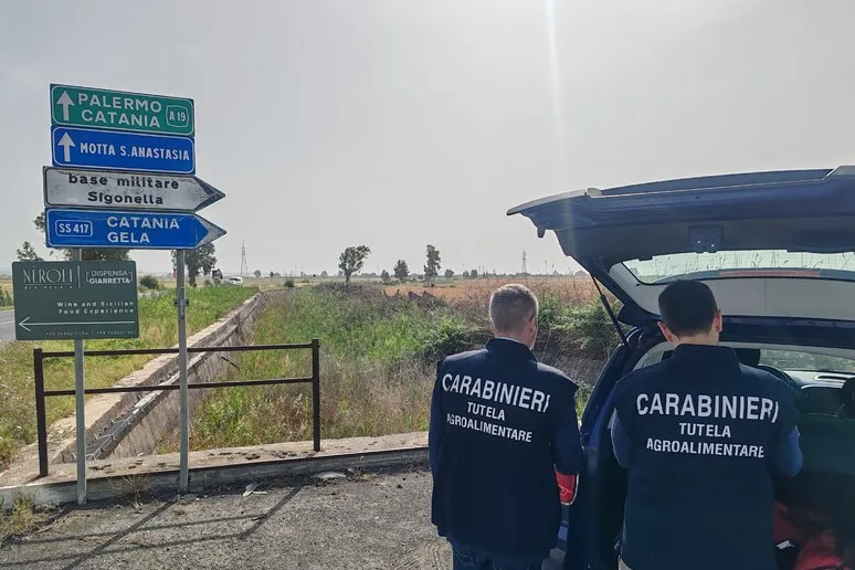 Asse di spaccio Germania-Sicilia: 15 arresti in diverse province italiane