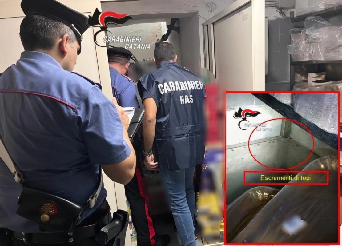 Catania, escrementi di topi e blatte: sospesa l’attività di un locale in via Etnea