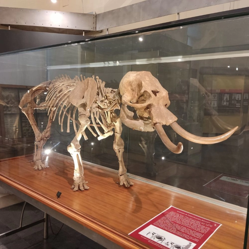 Importante riconoscimento per due musei catanesi