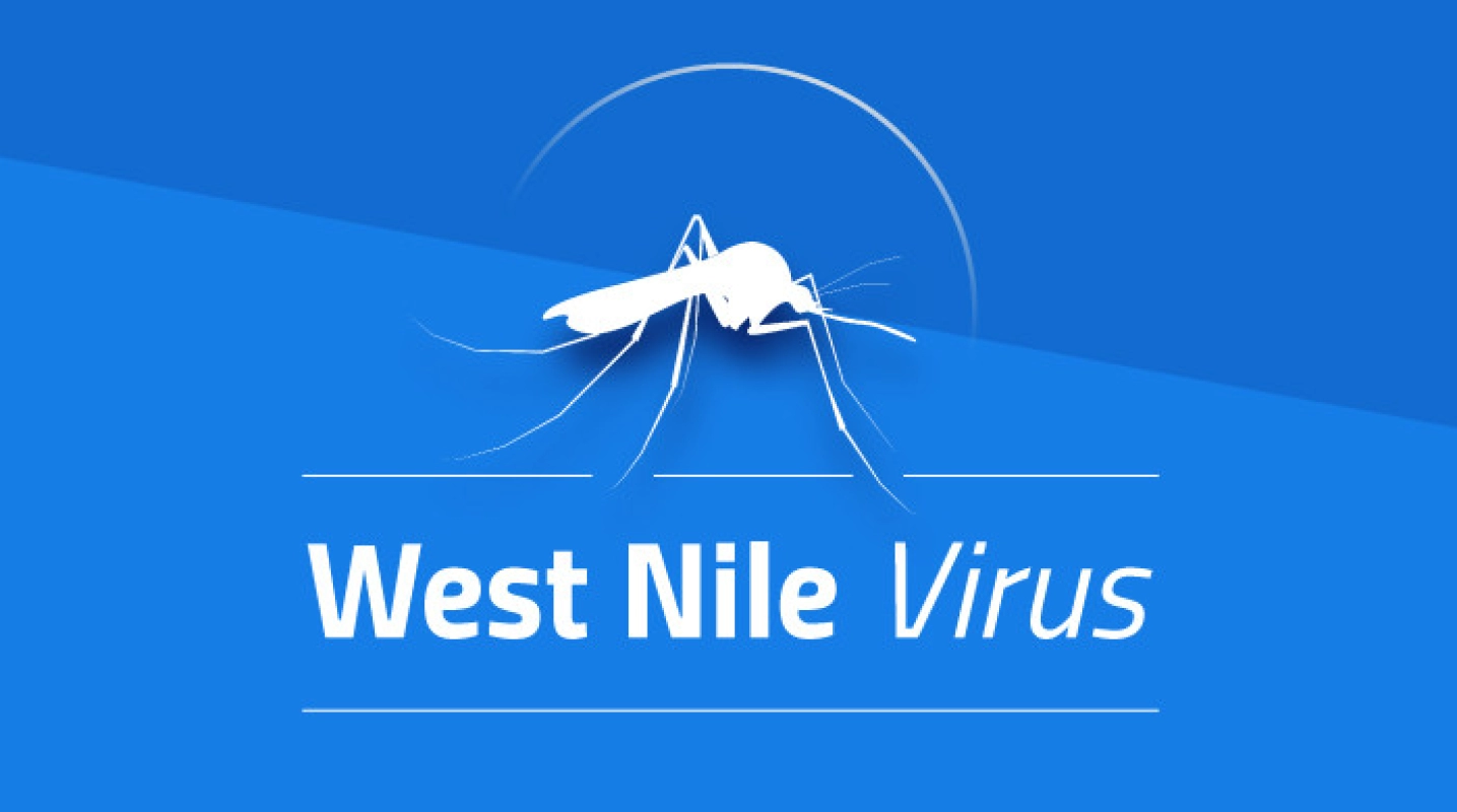 West Nile, registrato primo caso nel Catanese: le raccomandazioni degli esperti