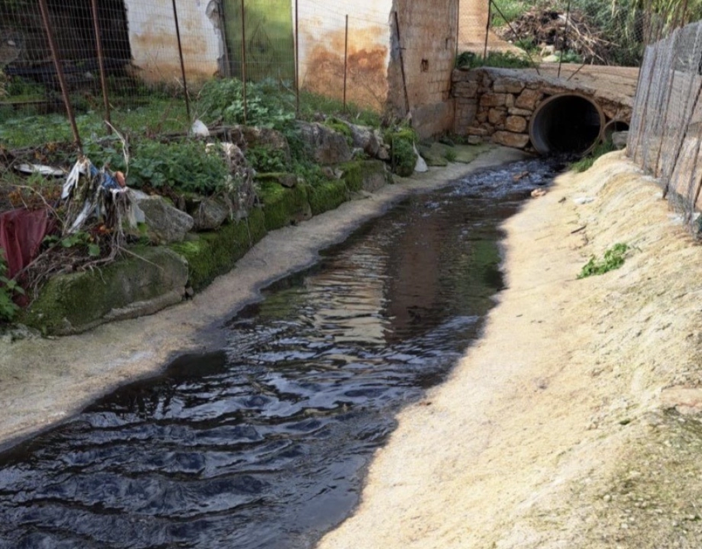 Ambiente, il Corpo forestale scopre scarichi illeciti di tre oleifici