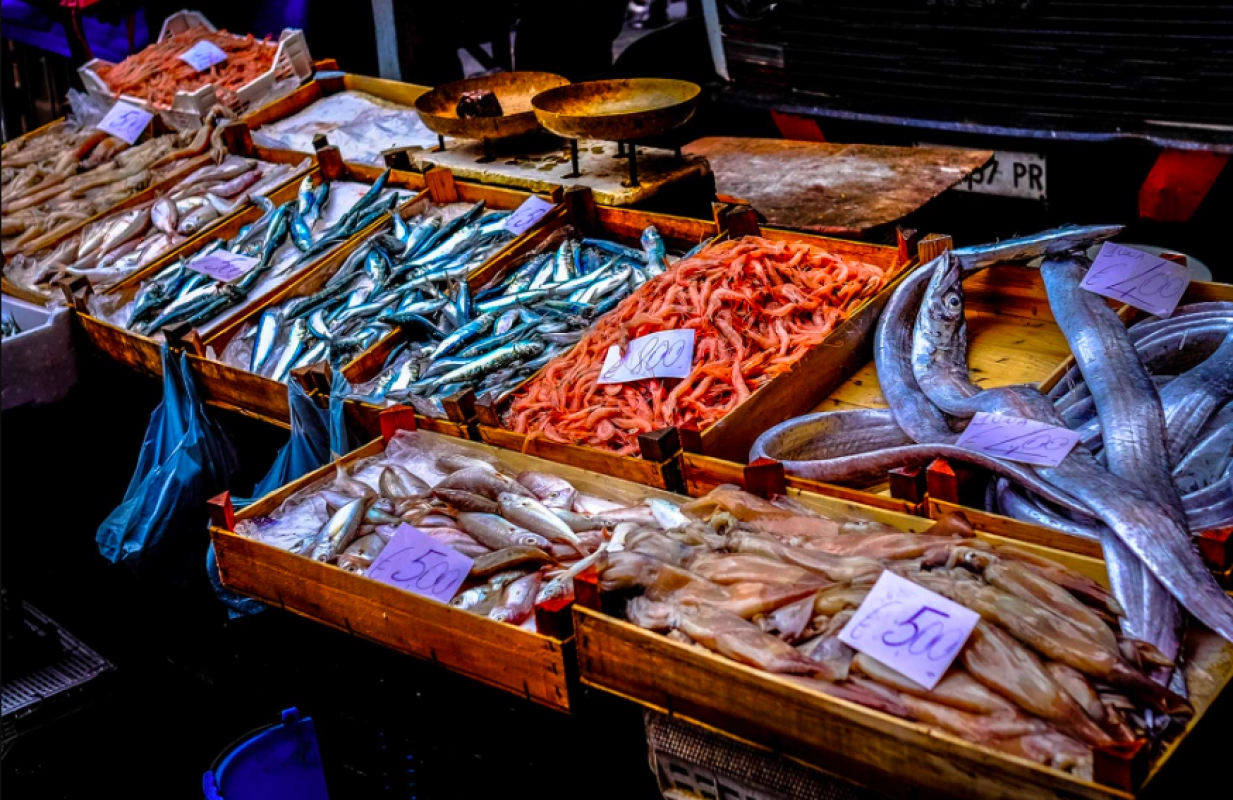 Fish Net: controlli della guardia costiera, sanzioni e sequestri